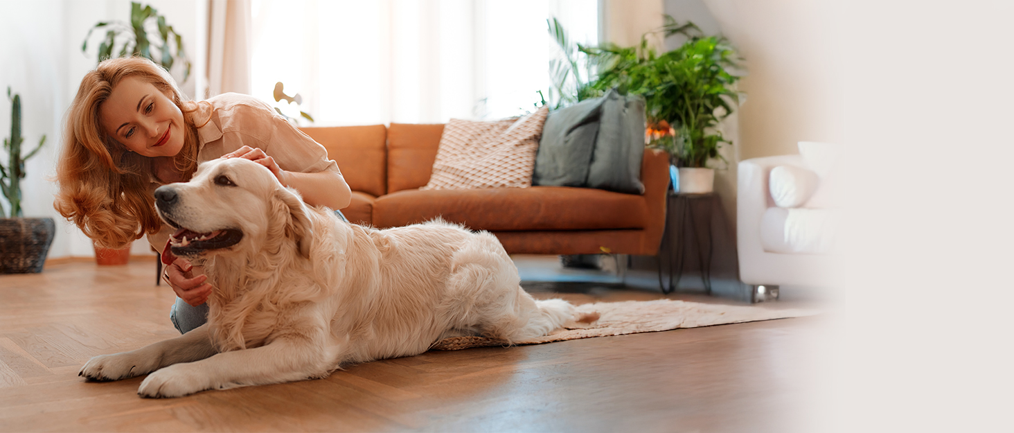 Акумуляторний пилосос бездротовий для шерсті тварин, 1.8л з дисплеєм, 55000Па/620Вт/75хв, вертикальний з анти-заплутувальною щіткою та док-станцією для килимів/твердих підлог/авто, фіолетовий