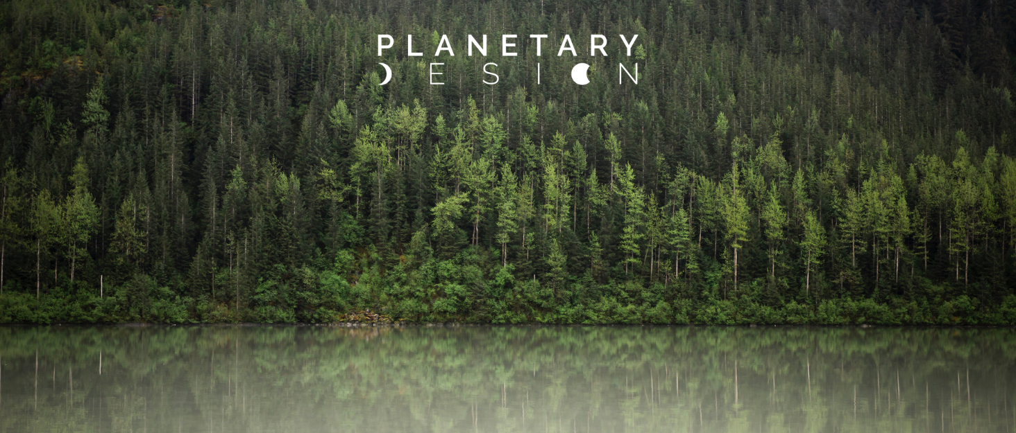 Контейнер для кави Airscape з нержавіючої сталі – герметичний контейнер для зберігання продуктів – запатентований дизайн – зберігає свіжість продуктів (середній, матовий чорний)