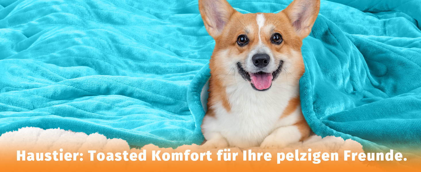 Електрична ковдра BOMOVA з автовимкненням, тепла та м'яка ковдра для дому, 10 режимів нагріву та таймер, подарунок для жінок, 130x180 см, колір блакитний