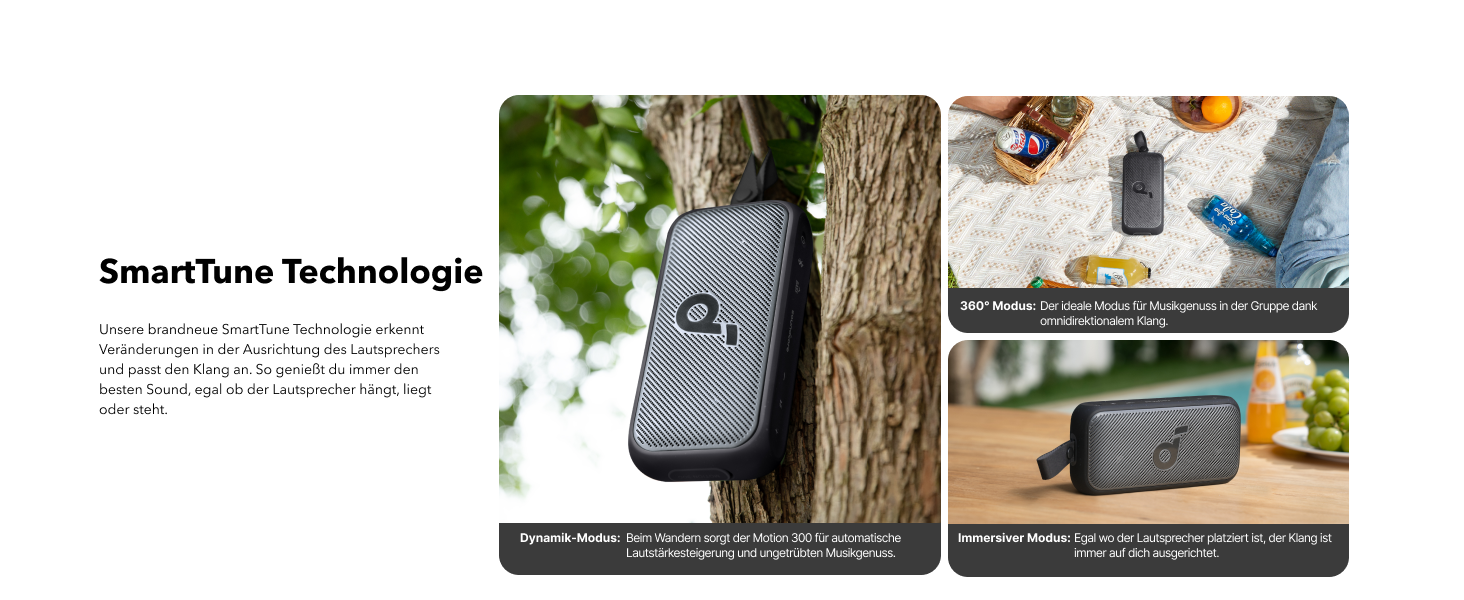 Soundcore Motion 300: Бездроковий портативний Bluetooth-динамік з BassUp, SmartTune, 30W, 13h, IPX7, для дому, саду, кемпінгу та подорожей (Чорний)