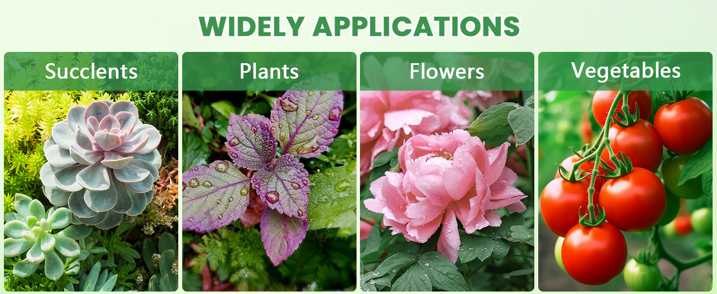 Набір горщиків для квітів з пластику, 8 шт. з отворами, круглі підставки, горщики для кактусів та трав, набір для офісу, балкону, саду, сукулентів, чорний