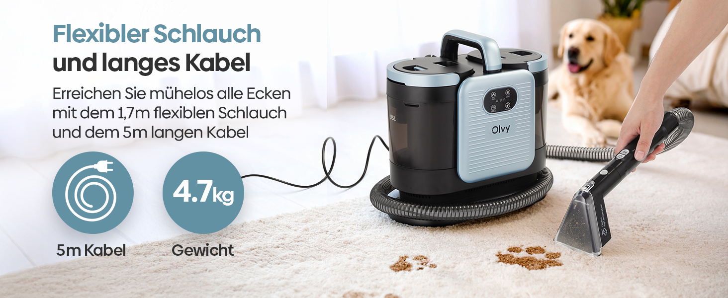 Olvy Teppichreiniger PRO: професійний пароочисник для килимів та м'яких меблів, 1650W. Включає миючий засіб. Підходить для чищення диванів, матраців та оббивки.