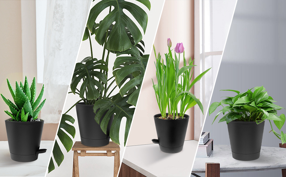 5 горщиків з пластику з системою поливу, 17.8/16.5/15.2/13.9/12.7 см. Самополивні горщики з підставкою, круглі, для квітів, сукулентів, кактусів, зелені та чорні, для дому, балкона та саду.