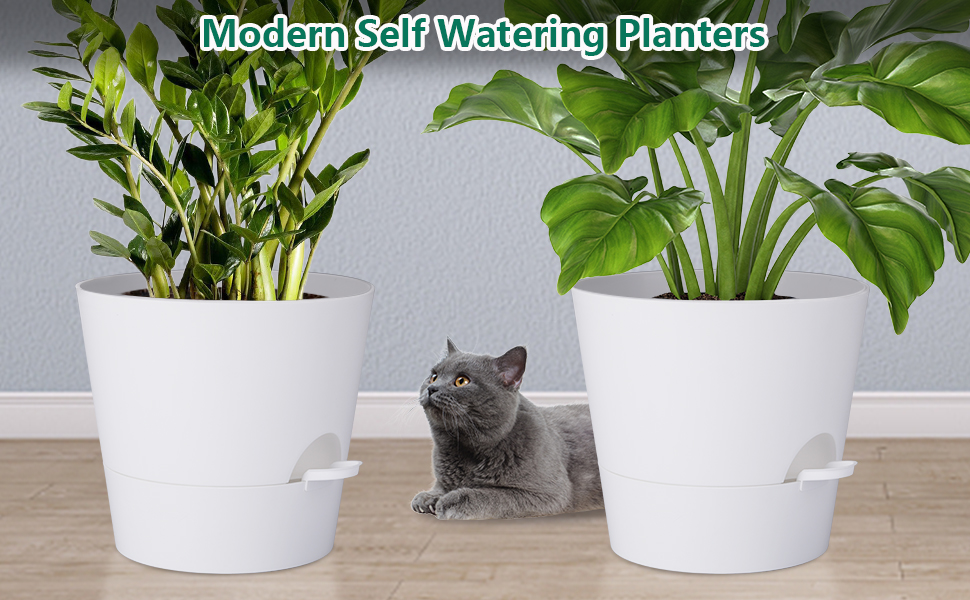 Набір з 2 горщиків для квітів 25.4 см, пластик, з системою поливу, для дому, балкону, саду, сукулентів, кактусів (зелений, білий)