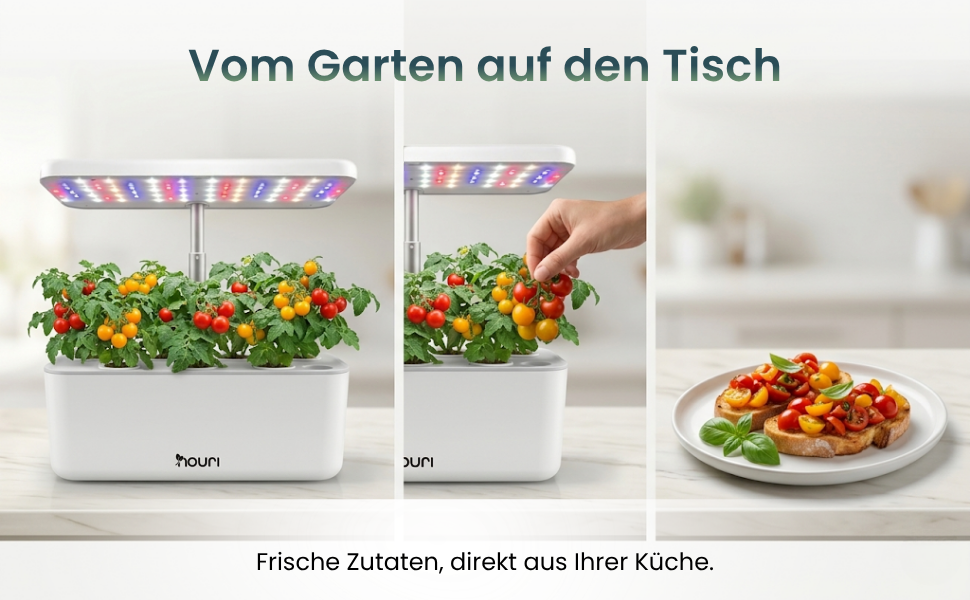 Smart Garden Nouri 12 Pod для вирощування томатів вдома | Гідропонна система | LED лампа для розсади | Автоматичний догляд