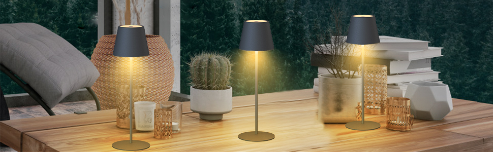 LED настільна лампа MALUX бездротова з торшевим керуванням, регулювання яскравості, тепле біле світло 2700K-4000K, метал, акумулятор, водонепроникність IP54, для саду, їдальні, спальні, робочого кабінету, балкону, готелю (темно-сірий)