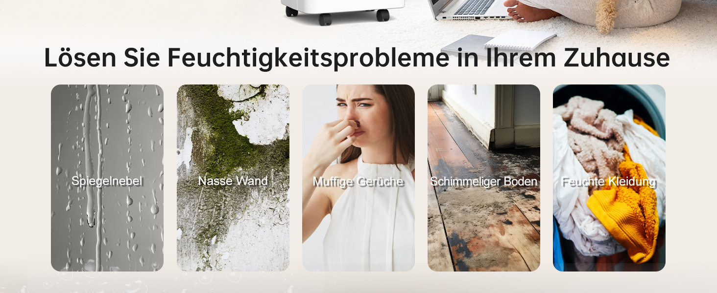 Електричний осушувач повітря PHILODECO 10л/день з режимом сушіння, 2л бак, таймер 24г, автовимкнення, ролики та ручка для підвалу, ванної, спальні