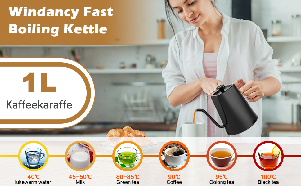 Електричний чайник з нержавіючої сталі 1L з лебідь-шийкою, функцією підтримки тепла 24 години та швидким нагрівом 1200W з індикатором температури