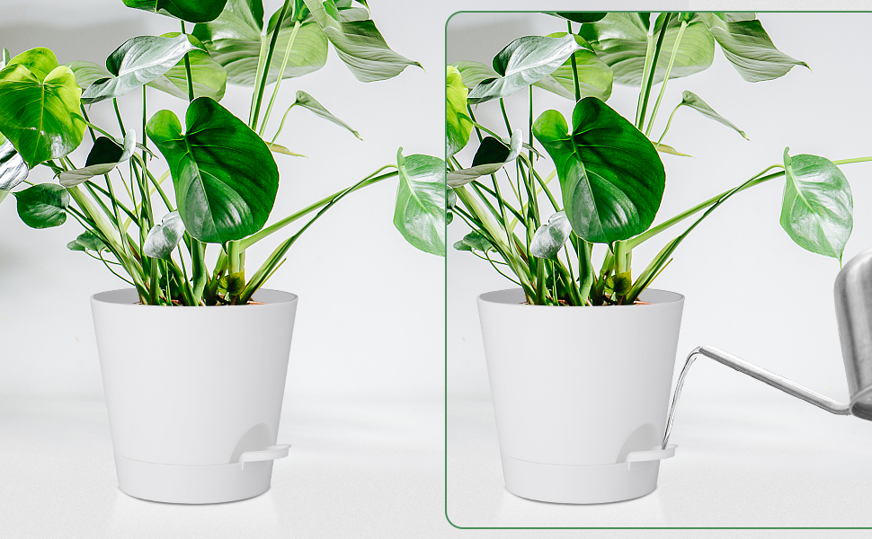 Набір горщиків для квітів 2 шт. 25.4 см та 20.3 см, пластик, з системою поливу, для дому, балкону, саду, сукулентів, кактусів (зелений, білий)