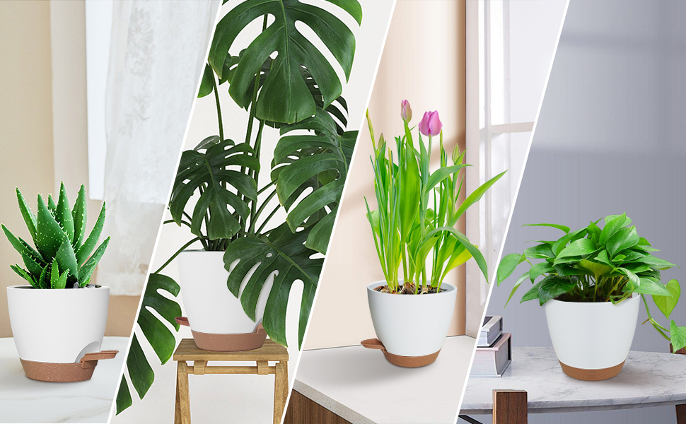 5 кашпо з пластику з системою поливу, 17.8/16.5/15.2/13.9/12.7 см. Самополивні горщики з підставкою, круглі, для квітів, сукулентів, кактусів, для дому, балкону, саду. Білий, коричневий колір