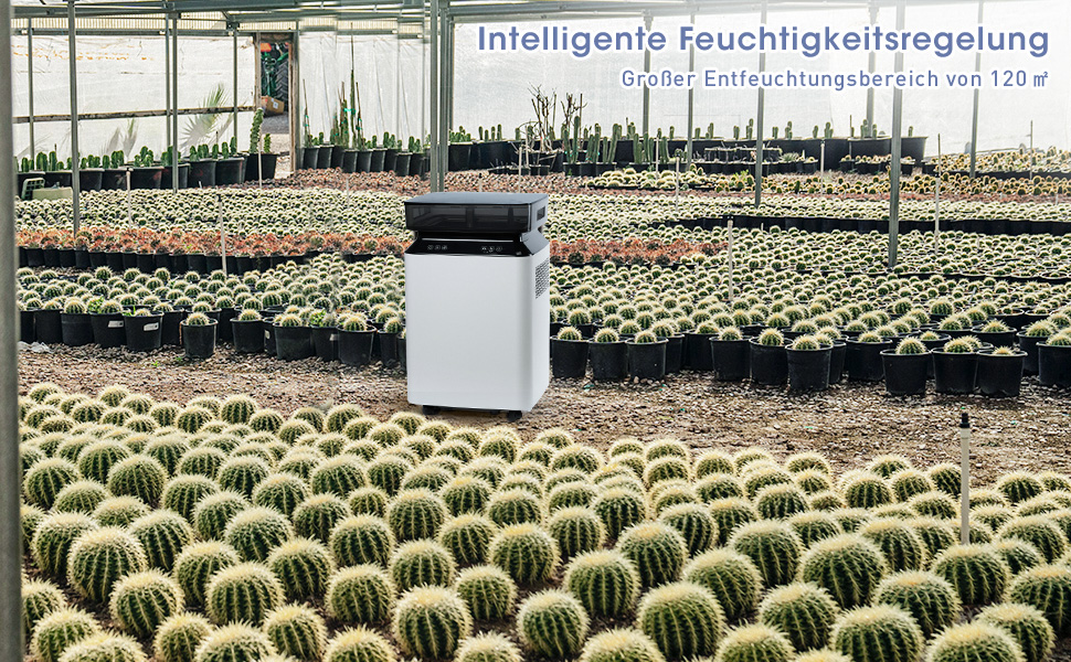 Електричний осушувач повітря Kalopsia: 50 л/день для підвалу та квартири - резервуар 8 л, 120 м², 46 дБ, автоматичне осушення, зливний насос та таймер 24 години, чорний