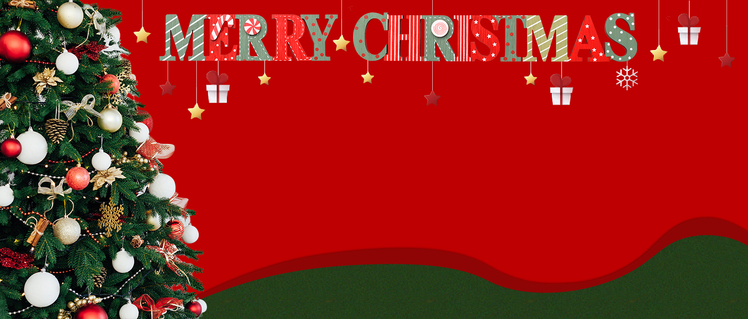 Коробка для зберігання новорічних прикрас VITEVER з регульованими перегородками, 64 кишеньки, 32x32,5x33 см