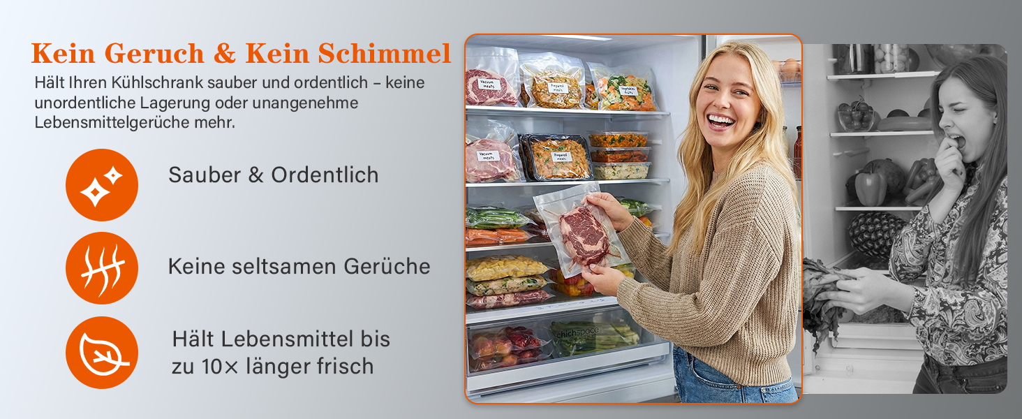 Вакууматор для продуктів 12-в-1 (95 kPa) з подвійним швом, системою Easy-Lock та вбудованим різаком, сріблястий