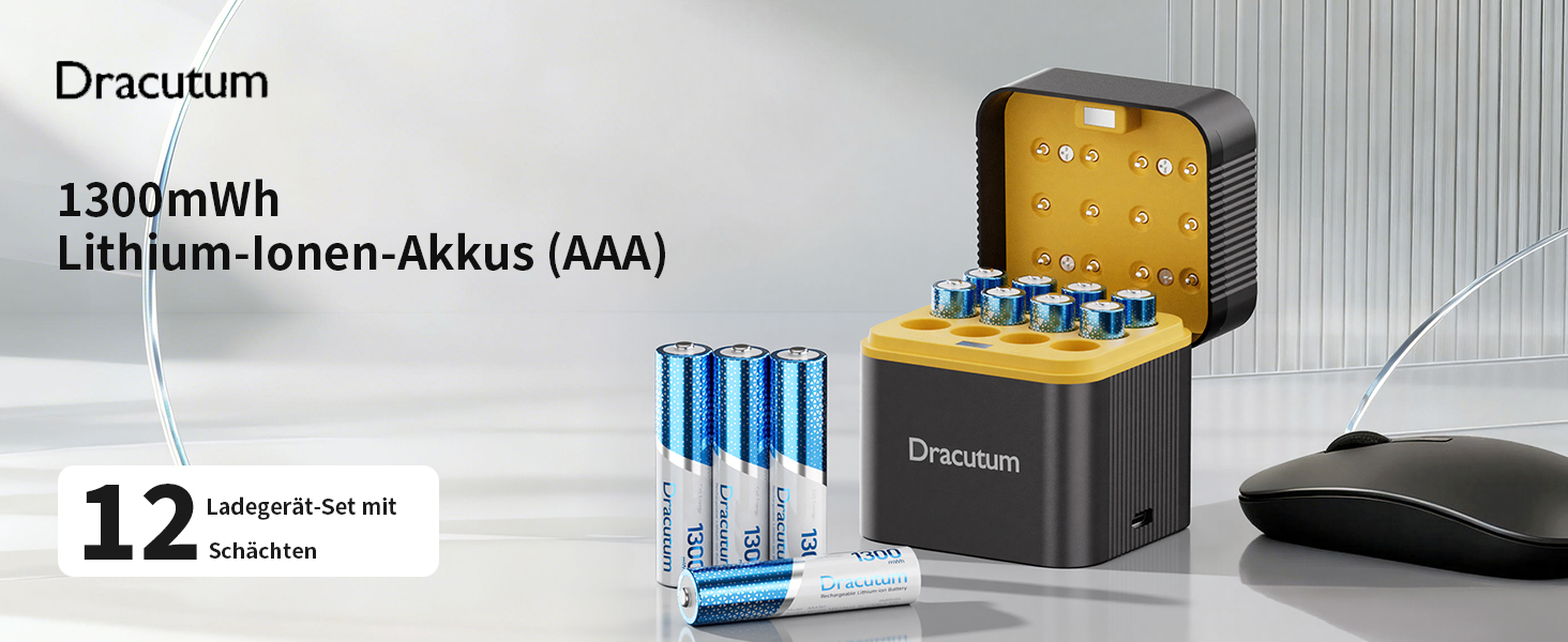 Набір акумуляторів AAA Li-ion 1.5V (12 шт) з зарядним пристроєм, 1300mWh, висока ємність, 2000 циклів зарядки та кейсом для зберігання
