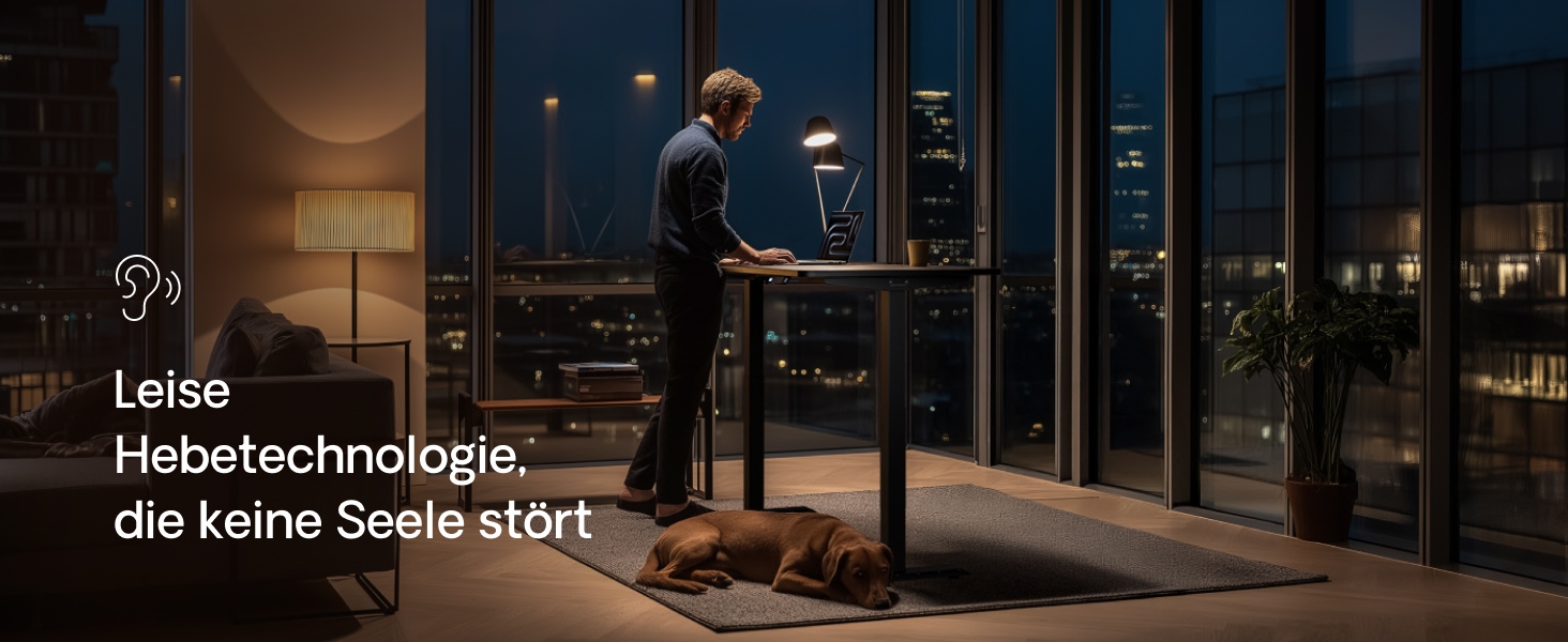 Регульований стіл Desktronic Homeone 160x80 см – електричний, з USB-портами, чорний + білий