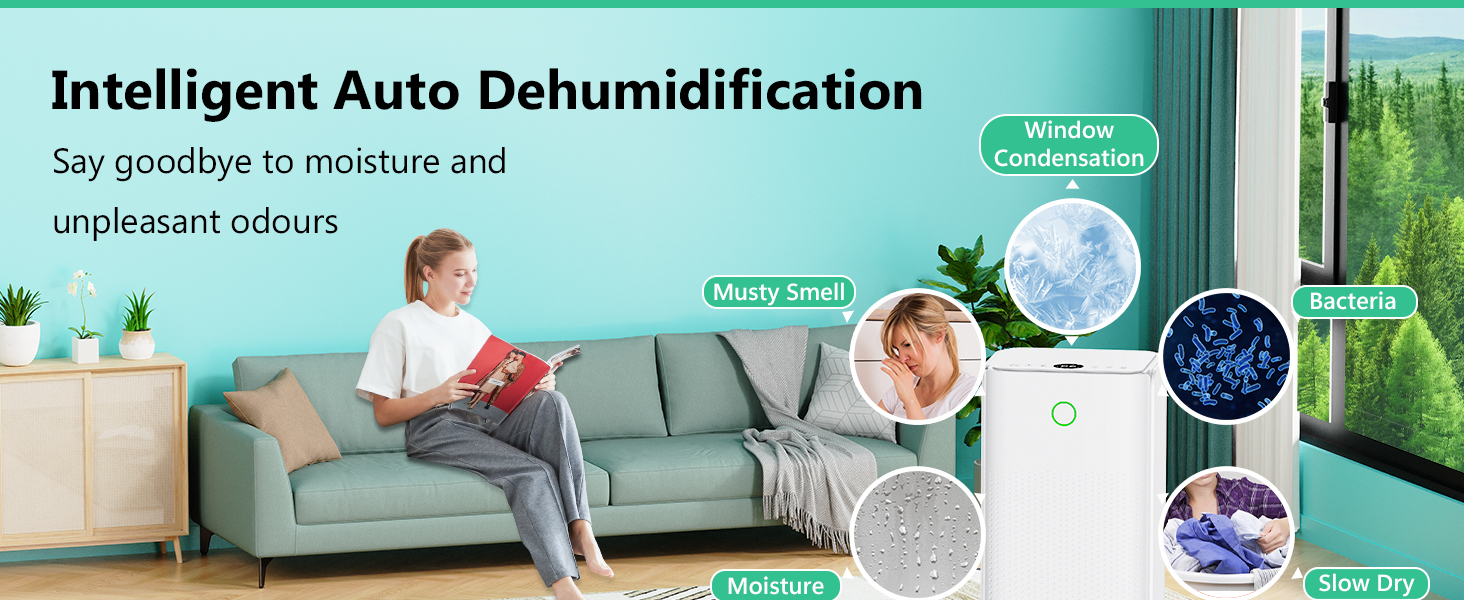 Електричний осушувач повітря 12л/день, тихий осушувач для дому, квартири, підвалу з 3 режимами, таймером 24г, автоматичною відтайкою та енергозбереженням