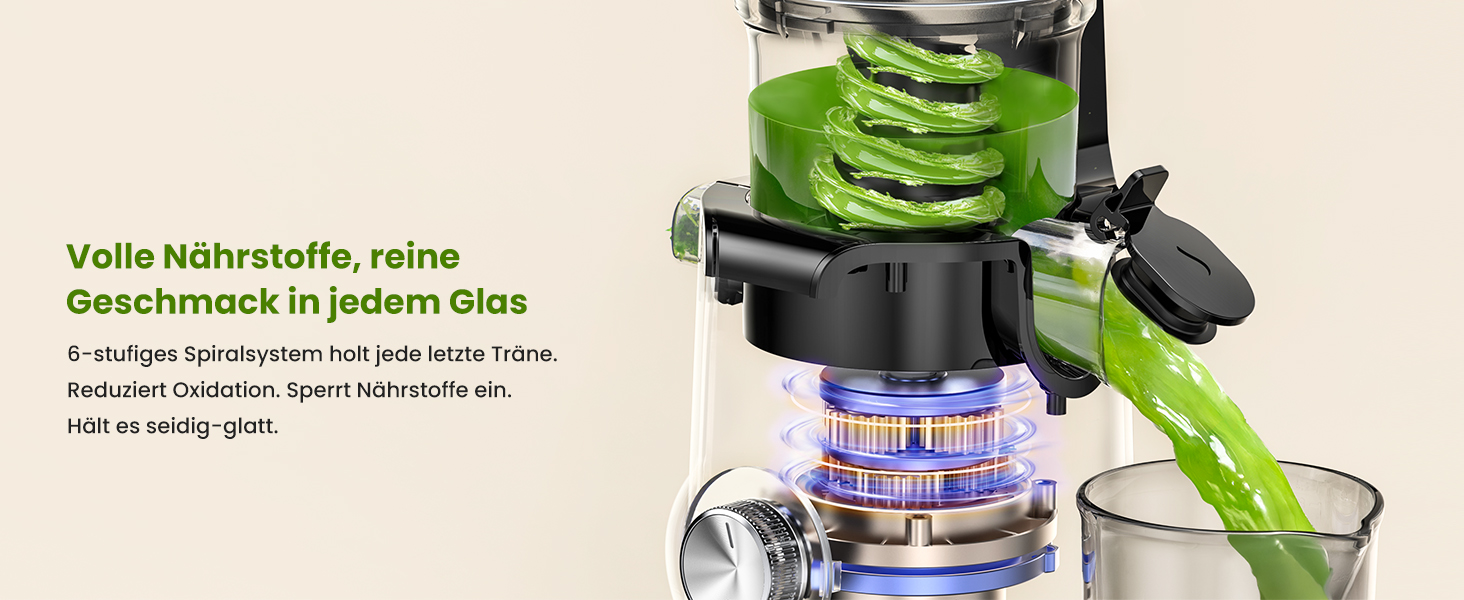 LINKChef Slow Juicer: Холодне віджимання овочів та фруктів, 115 мм, чорний, BPA Free