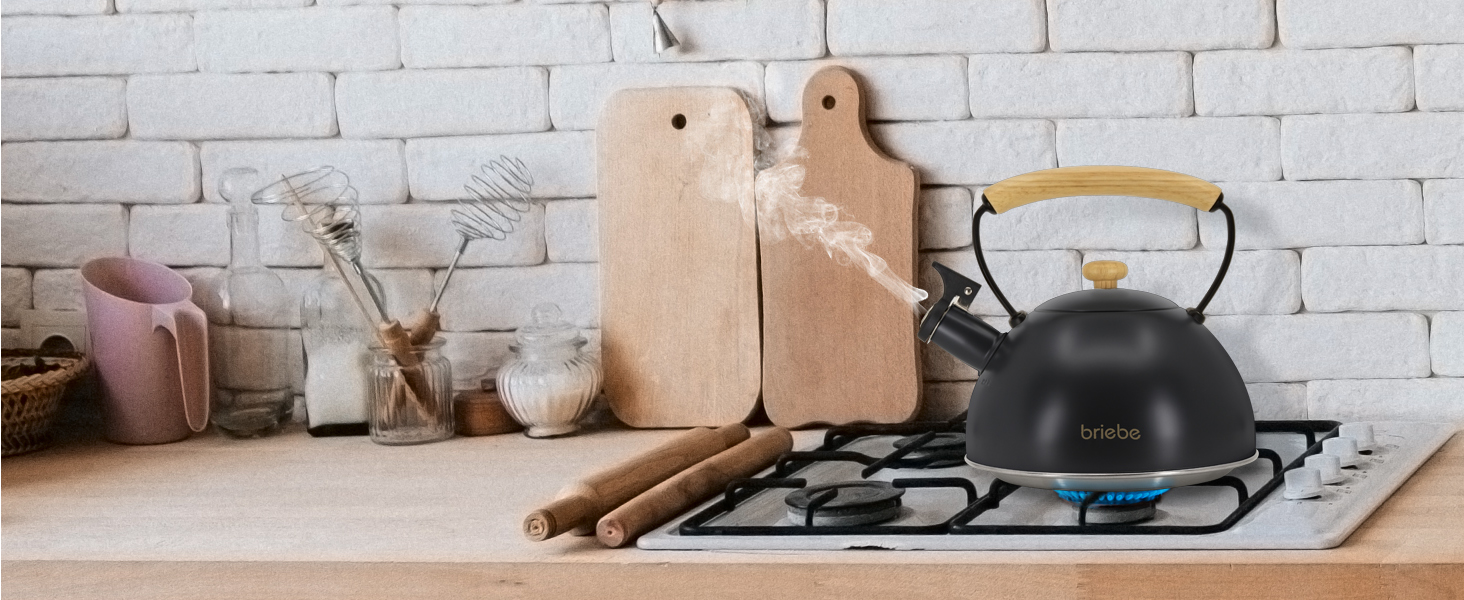 Чайник для води briebe Nordic з whistles-сигналом, 2.3л, нержавіюча сталь, для індукційних, газових та електричних плит, чорний
