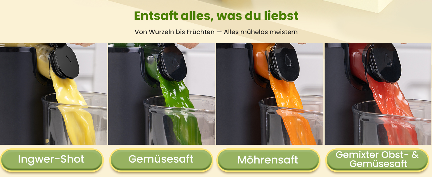 LINKChef Slow Juicer: Холодне віджимання овочів та фруктів, 115 мм, чорний, BPA Free