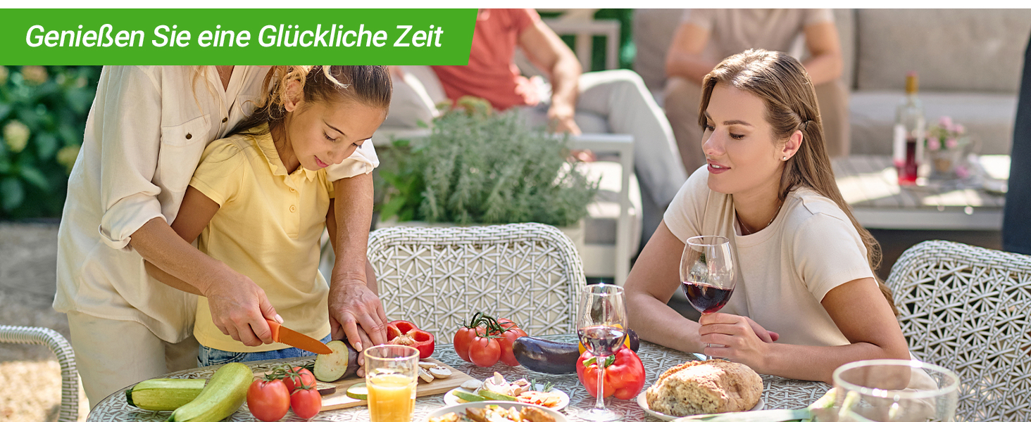 Inkbird Су-від занурювальний прилад 1000 Вт, керування через додаток, циркуляція 360°, температура 0-90°C