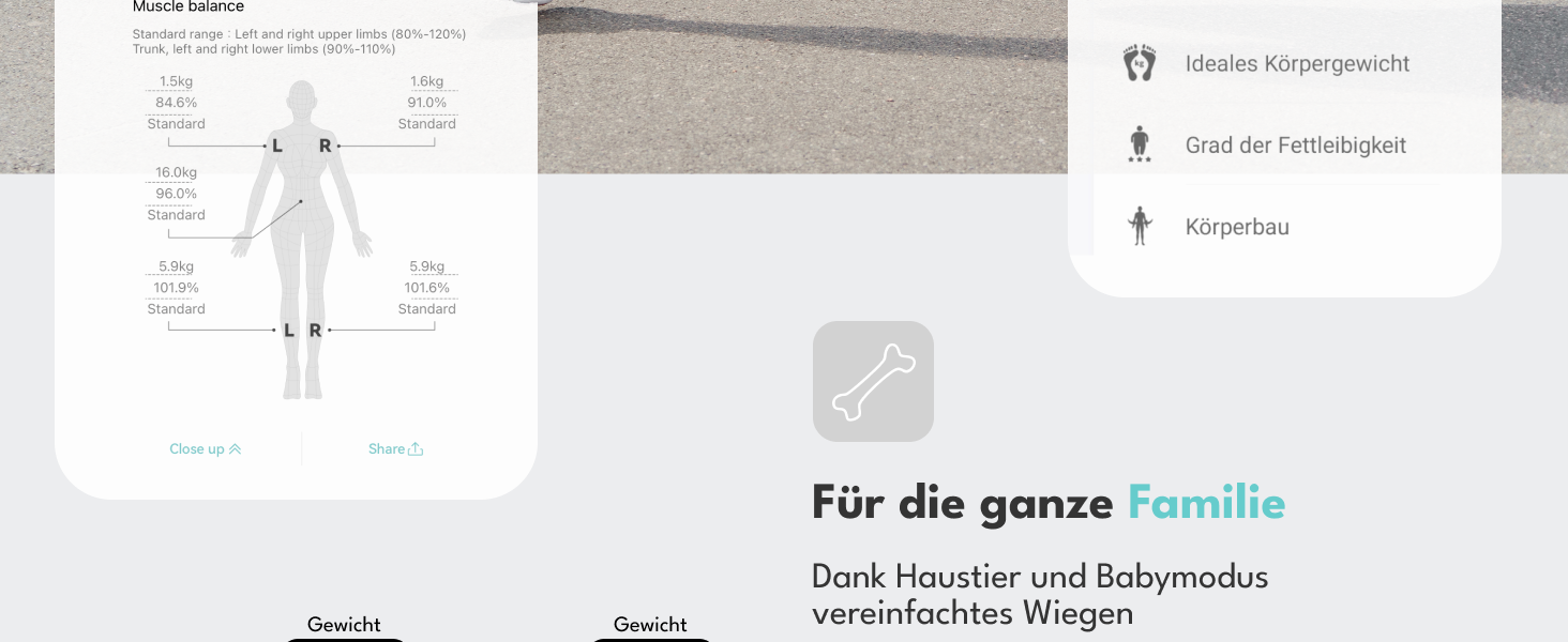 Вага для тіла LEBENLANG з датчиками рук - Великий дисплей & підключення до програми | 29 показників до 180 кг | Аналіз складу тіла (жир, м'язи)