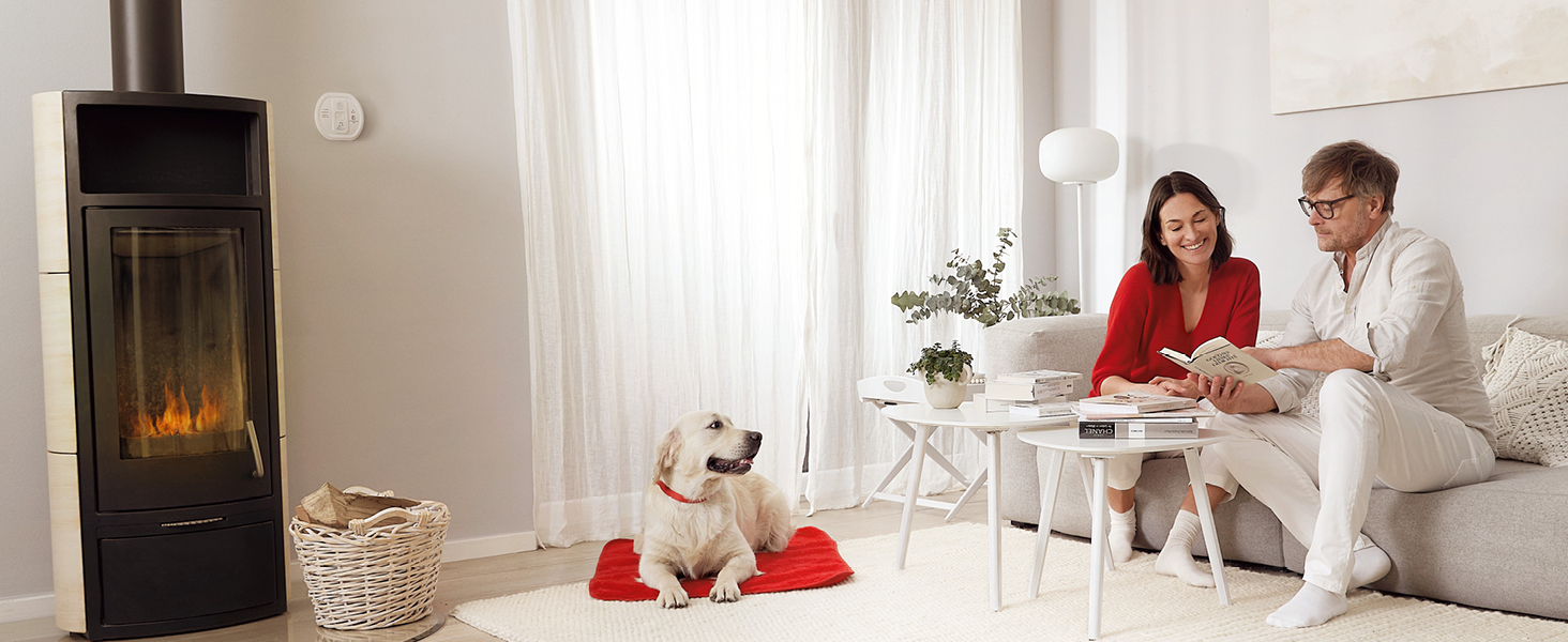 Датчик виявлення CO Ei Electronics Ei208D з LCD-дисплеєм та батареєю на 10 років, автономний, білий