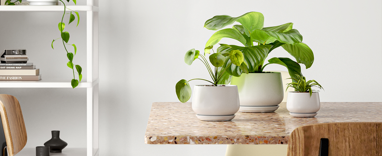 Керамічні горщики LE TAUCI з підставкою, 10+13+16 см, набір з 3 горщиків для кімнатних рослин, з дренажним отвором (білий)