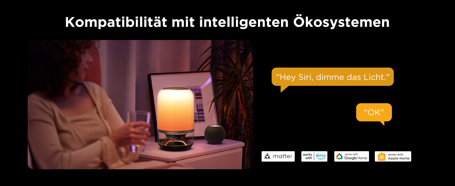 Govee LED лампа з колонкою JBL, Matter-сумісна, акумуляторна, 16 музичних режимів та 100+ сцен