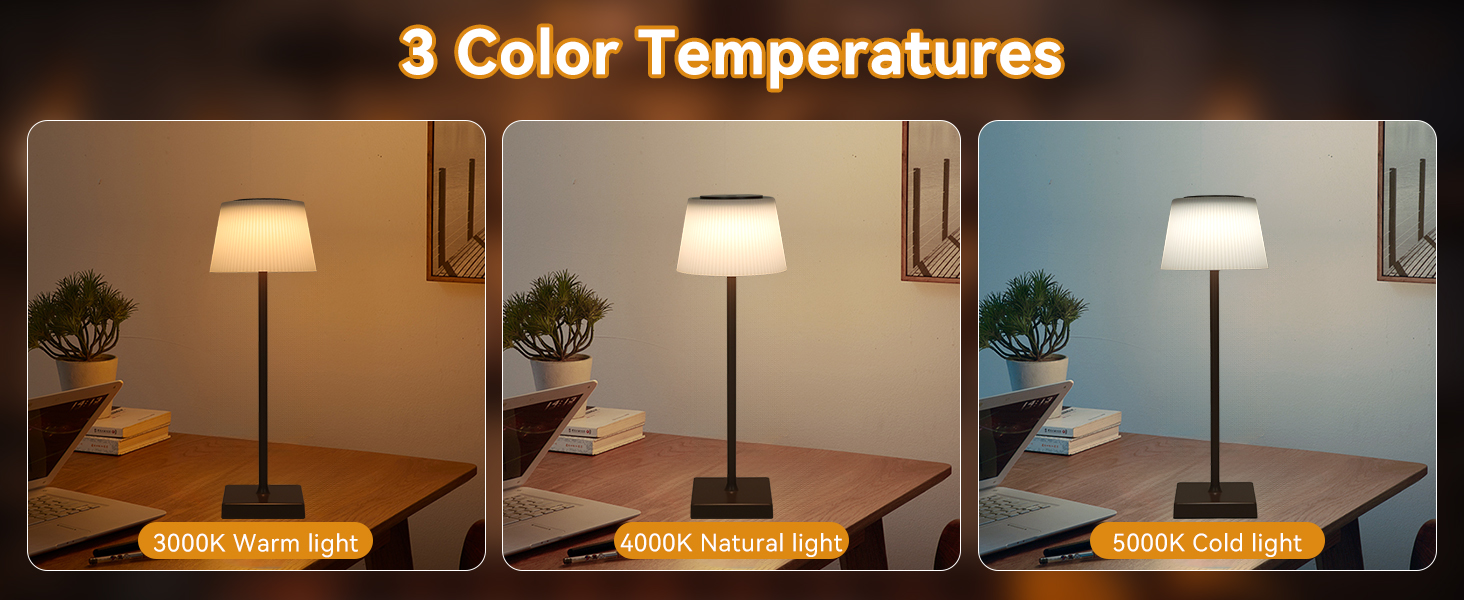 Aigostar LED акумуляторна настільна лампа бездротова, торшер з сенсорним керуванням, 3 режими кольору, IP54 вологостійка, для дому та саду (темно-коричнева)