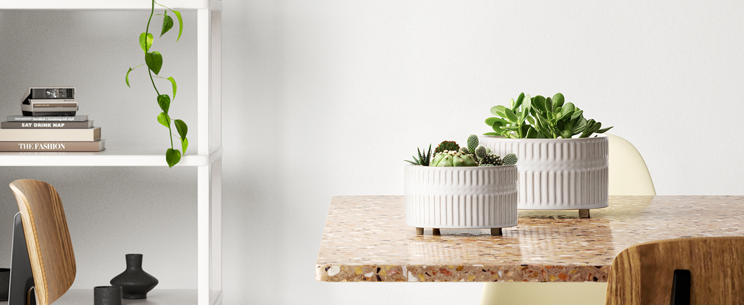 Набір горщиків для сукулентів LE TAUCI, 16,5+20 см, кераміка, з дренажними отворами, сучасний циліндричний дизайн, набір 2 шт., реактивна глазур білого кольору