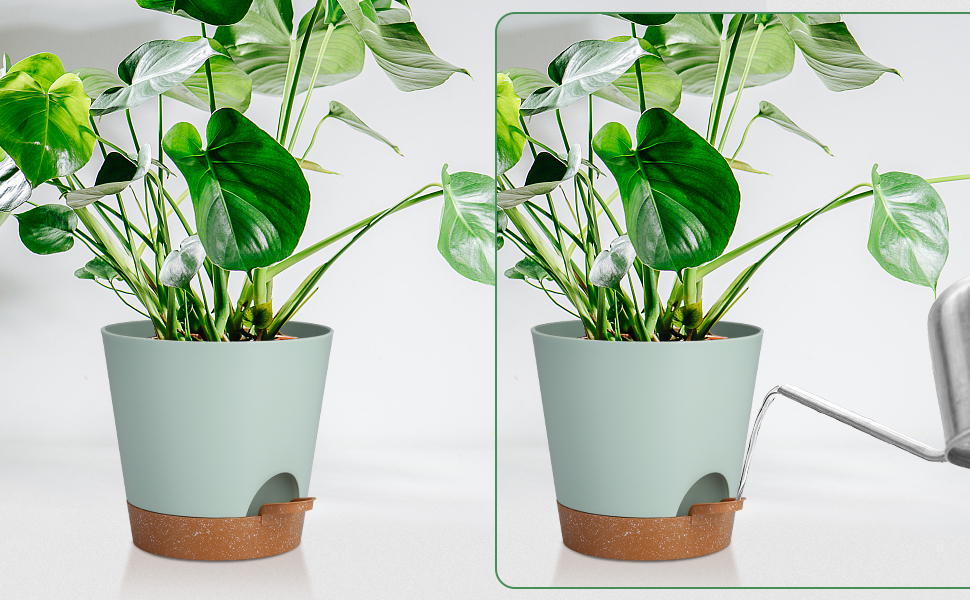 Набір горщиків для квітів 2 шт. 25.4 см, пластикові горщики з системою поливу, сучасний дизайн для дому, балкону, саду, сукулентів, кактусів (зелений) (зелений, коричневий, 20.3 см)