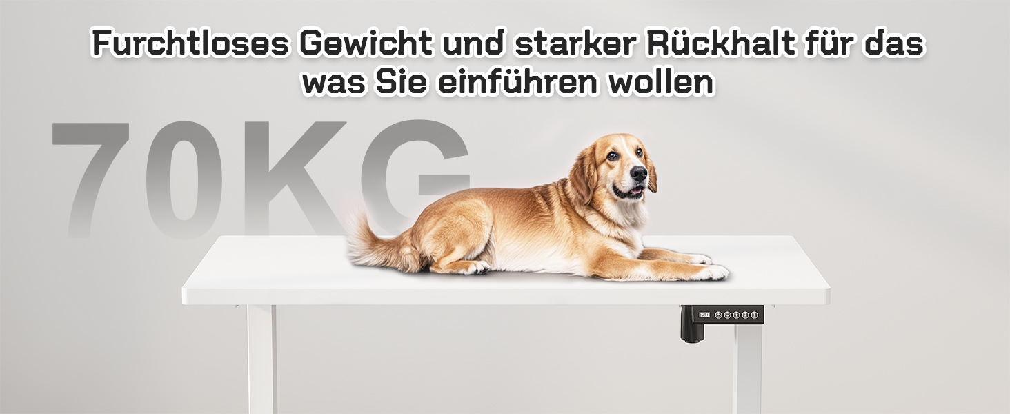 Стіл JUMMICO з регулюванням висоти: міцний каркас, 3 пам'яті, для сидіння та стояння (білий), 100 x 160 см