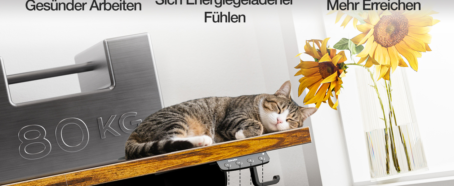 Електричний стіл з регулюванням висоти 120x60 см з функцією пам'яті, для офісу та дому. Білий колір, керування кабелями та гачки.