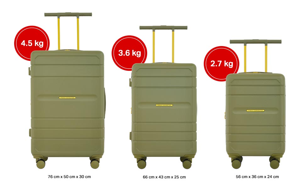 Набір валіз French Connection Le Voyage, 22 дюйми, колір Salbei (салатовий)