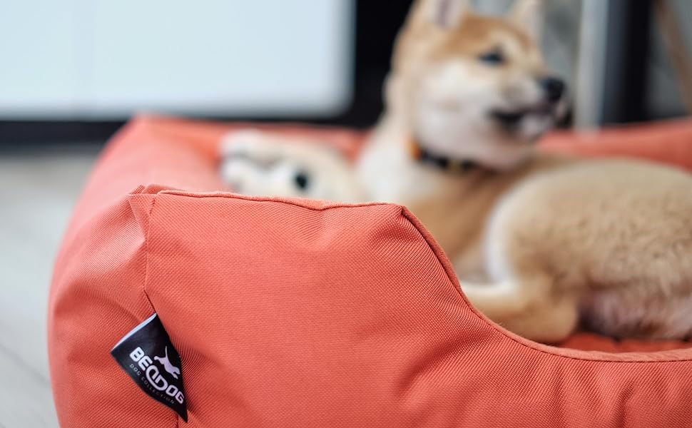 Лежак для собак BedDog MAXQ, 2 в 1, знімний чохол, що миється, для середніх і великих собак, XL, чорно-коричневий