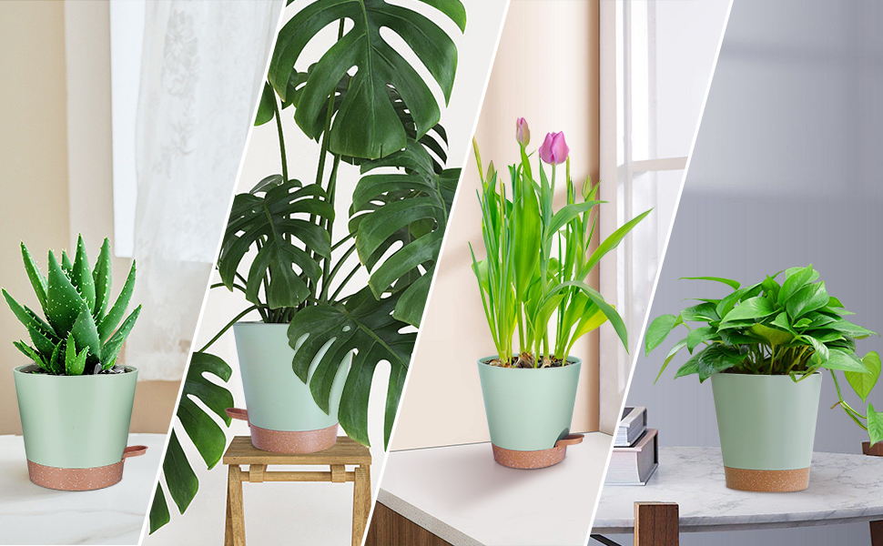 5 горщиків з пластику з системою поливу, 17.8/16.5/15.2/13.9/12.7 см. Самополивні кашпо з підставкою. Круглі горщики для квітів, сукулентів, кактусів. Для дому, балкона, саду. Зелений, коричневий колір.