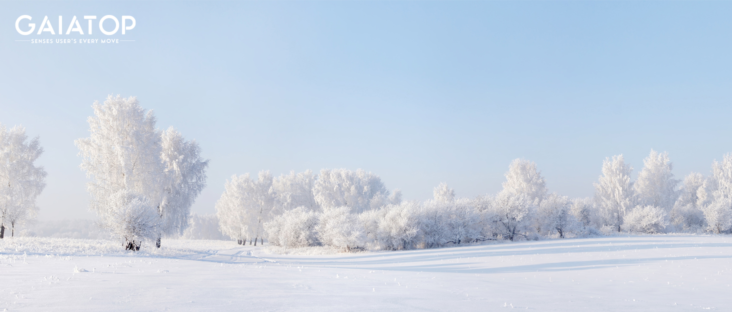 Електричний грівець для рук Gaiatop 8000mAh з LED-ліхтариком (2 шт.), магнітний, 3 швидкості нагріву, для жінок, сім'ї, активного відпочинку, чорний