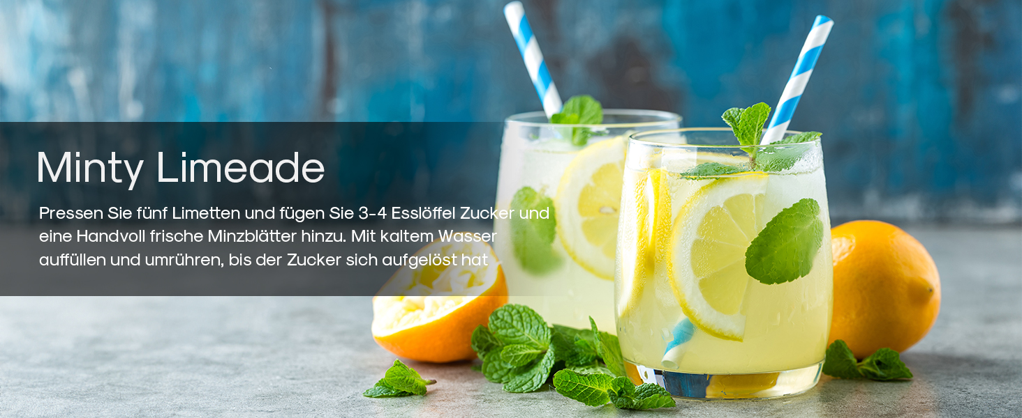 Електрична соковитискачка LEBENLANG 800мл з регульованим ситом: для цитрусових, апельсинів, лимонів та інших фруктів. Чорний колір