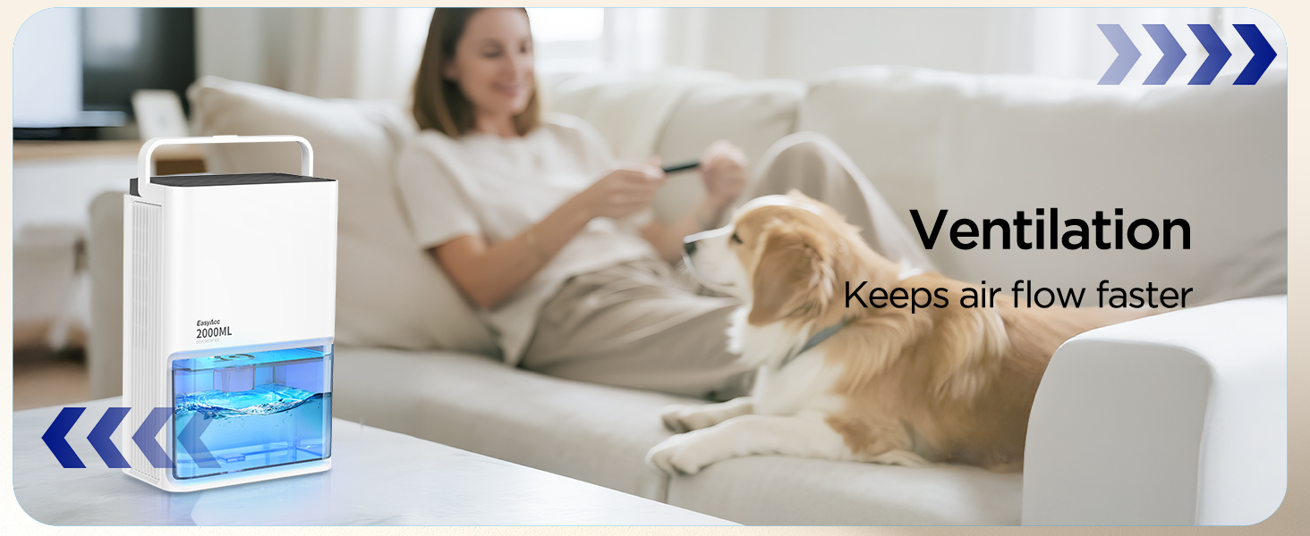 EasyAcc Електричний осушувач повітря 1200 мл, компактний, тихий, портативний, з автовимкненням та режимом сну. Ідеально для дому та офісу.