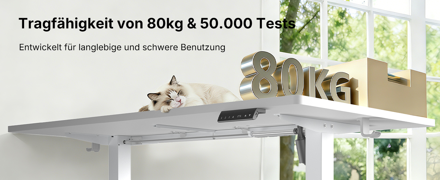 Регульований по висоті офісний стіл HUANUO 160x80 см з USB-C/USB-A, білий. Пам'ять на 4 положення, кабель-менеджмент
