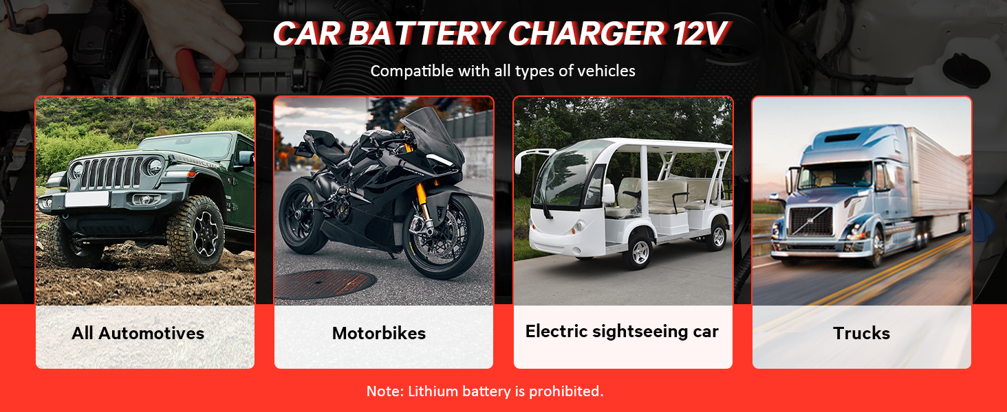 Автоматичний зарядний пристрій для акумуляторів з температурною компенсацією (10A)