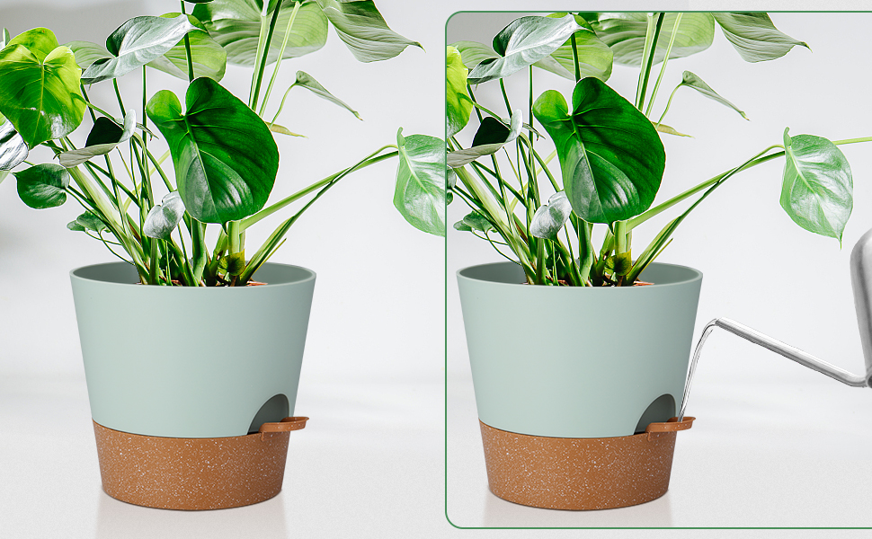 Набір з 2 горщиків для квітів 25.4 см, пластик, з системою поливу, для дому, балкону, саду, сукулентів, кактусів (зелений, коричневий)