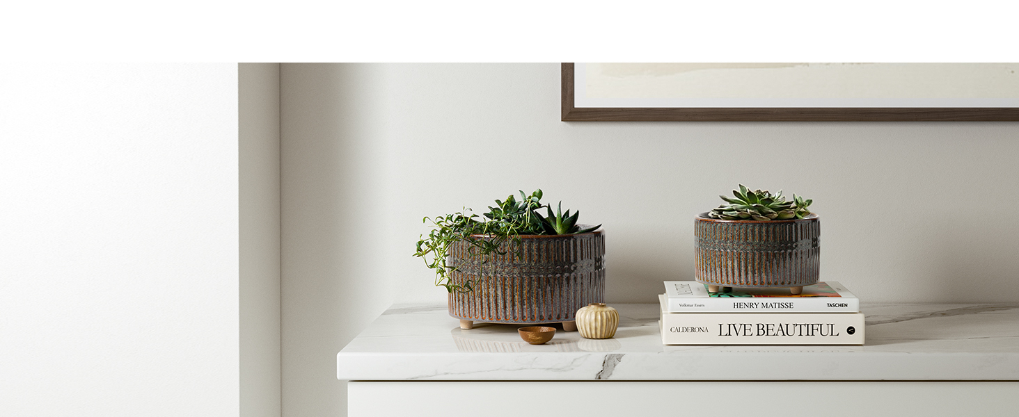 Набір горщиків для сукулентів LE TAUCI, 16,5+20 см, кераміка, для дому, з дренажними отворами, сучасний циліндричний дизайн, набір 2 шт., реактивна глазур чорного кольору