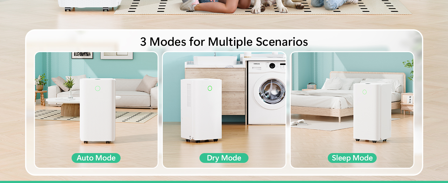 Електричний осушувач повітря 12л/день, тихий осушувач для дому, квартири, підвалу з 3 режимами, таймером 24г, автоматичною відтайкою та енергозбереженням