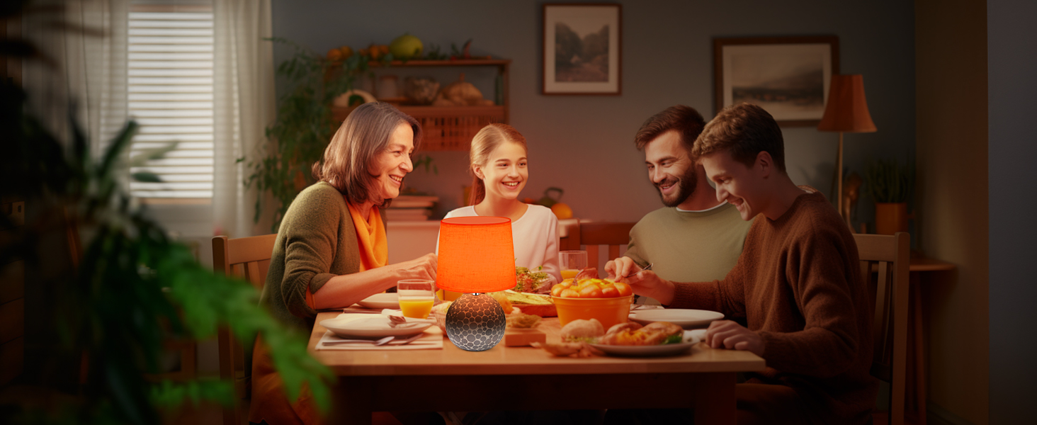 EGOBASIC LED-лампа настільна керамічна акумуляторна з пультом, бездротова, з таймером, регульована яскравість, 12 кольорів RGB, для вітальні, спальні, їдальні (вінтажний цоколь)