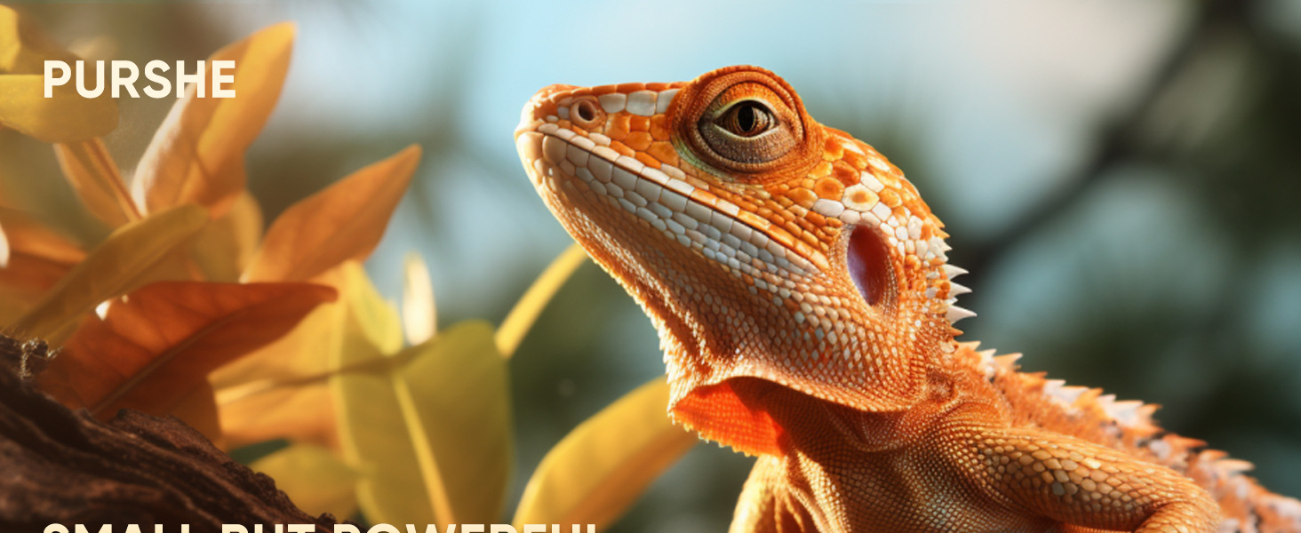 Mini проєктор Bluetooth Full HD 1080P: портативний проєктор для iOS, Android, Windows з пульт, 50% зум