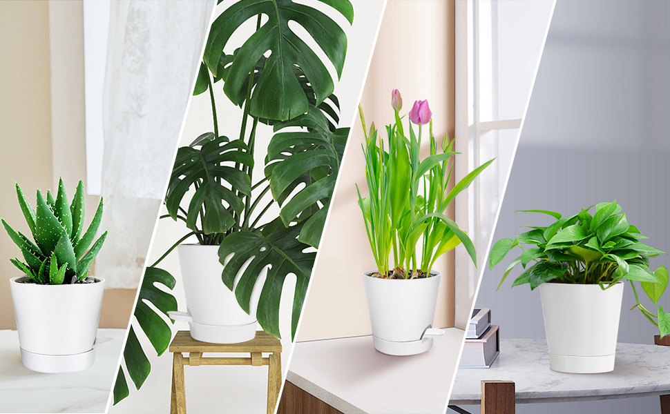 5 шт. пластикові горщики для квітів з системою поливу, 17.8/16.5/15.2/13.9/12.7 см. Самополивні горщики з підставкою, круглі, для дому, балкону, саду, сукулентів, кактусів, зелені (білі)