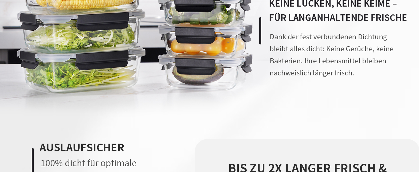 Набір контейнерів для зберігання продуктів FE1537-чорний (20 шт.): контейнери + кришки, миюча посуду, для мікрохвильовки та морозильника, герметичні