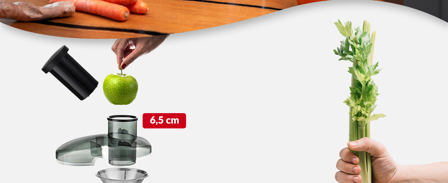 Електрична соковитискачка Lehmann: соковиті напої з овочів та фруктів, 2 швидкості, нержавіюча сталь, 1,5л контейнер для жмиху, 450мл контейнер для соку