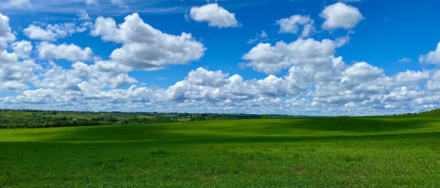 Сушарка для овочів, фруктів та м'яса Green Blue GB195 з регулюванням температури 35-70°C, 250W, 5 піддонів Ø27см, BPA-free, тиха